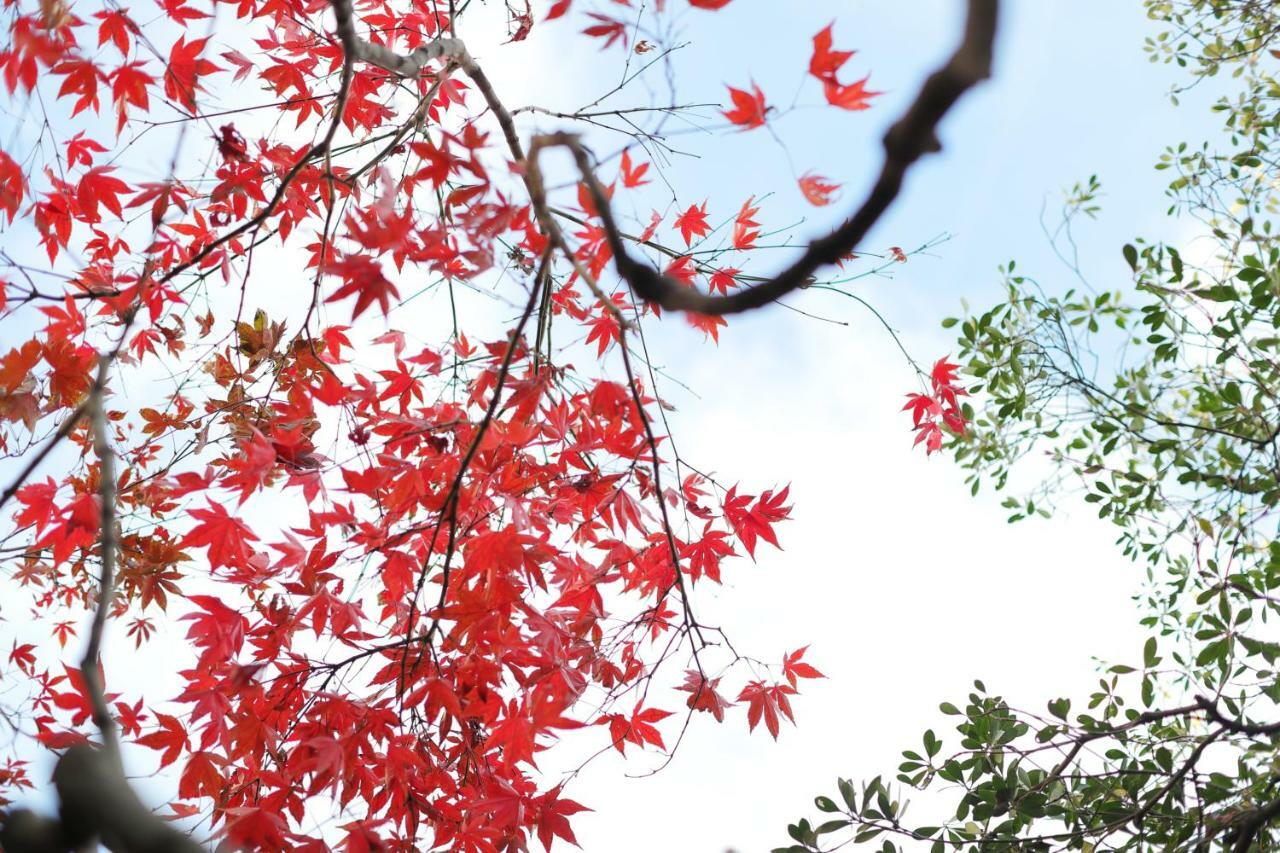 Ryokan Tanoya Кіото Екстер'єр фото
